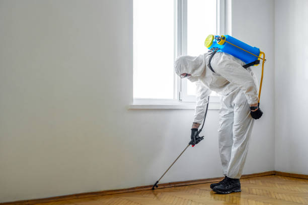 Best Pest Control for Businesses  in Barnesville, MN