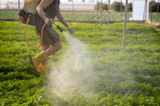 Best Affordable Pest Control Services  in Barnesville, MN